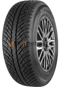 Winter | COOPER | DISCOVERER WINTER | 225/50R17 98H